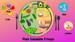 Plato saludable trilogía